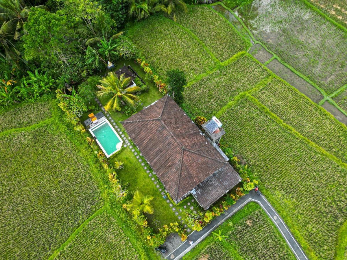 Buddha Homestay Ubud Exteriör bild