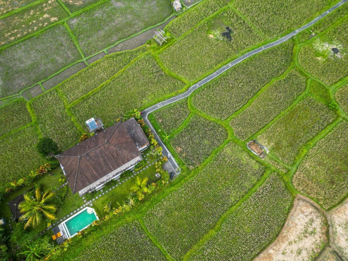 Buddha Homestay Ubud Exteriör bild