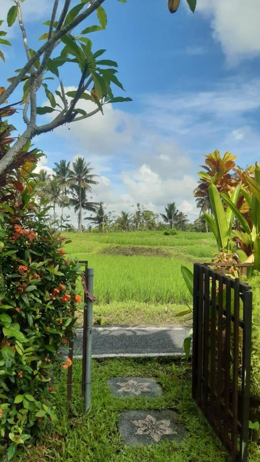 Buddha Homestay Ubud Exteriör bild